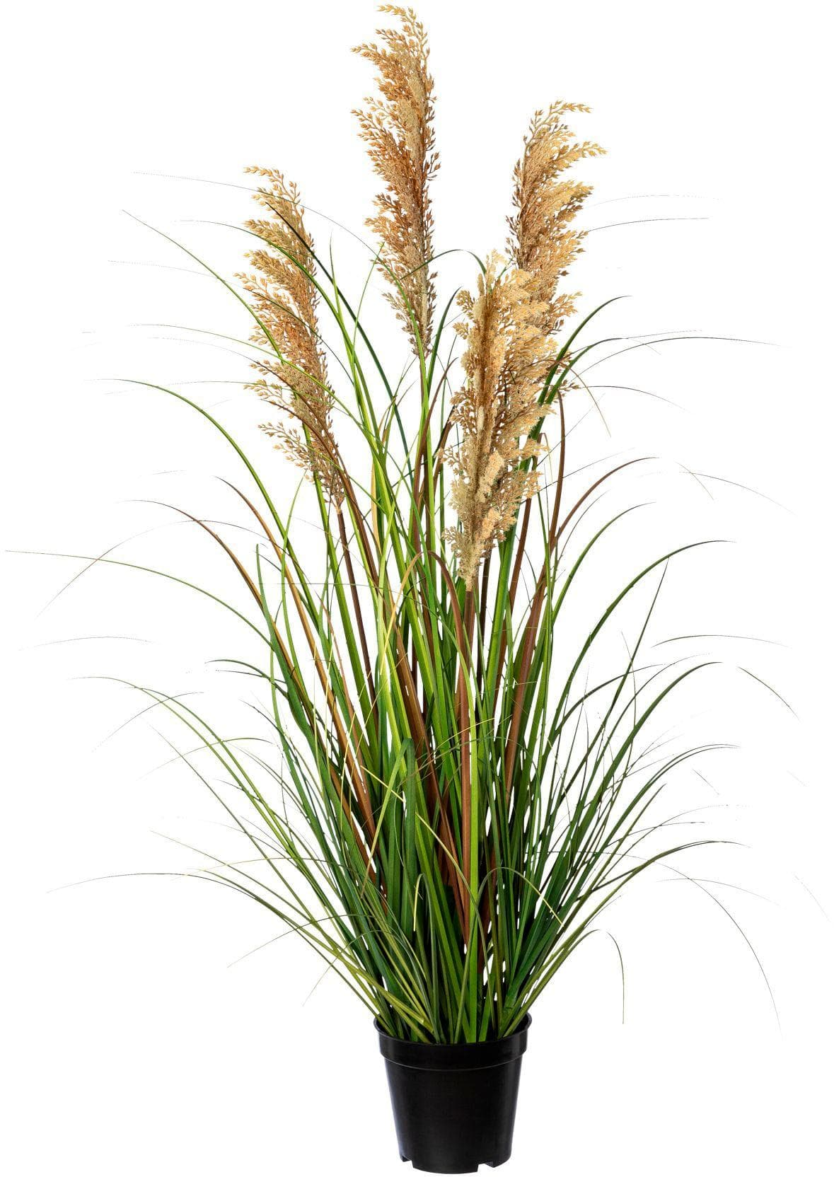 Kunstgras Grasbusch Rispenhirse Creativ Green