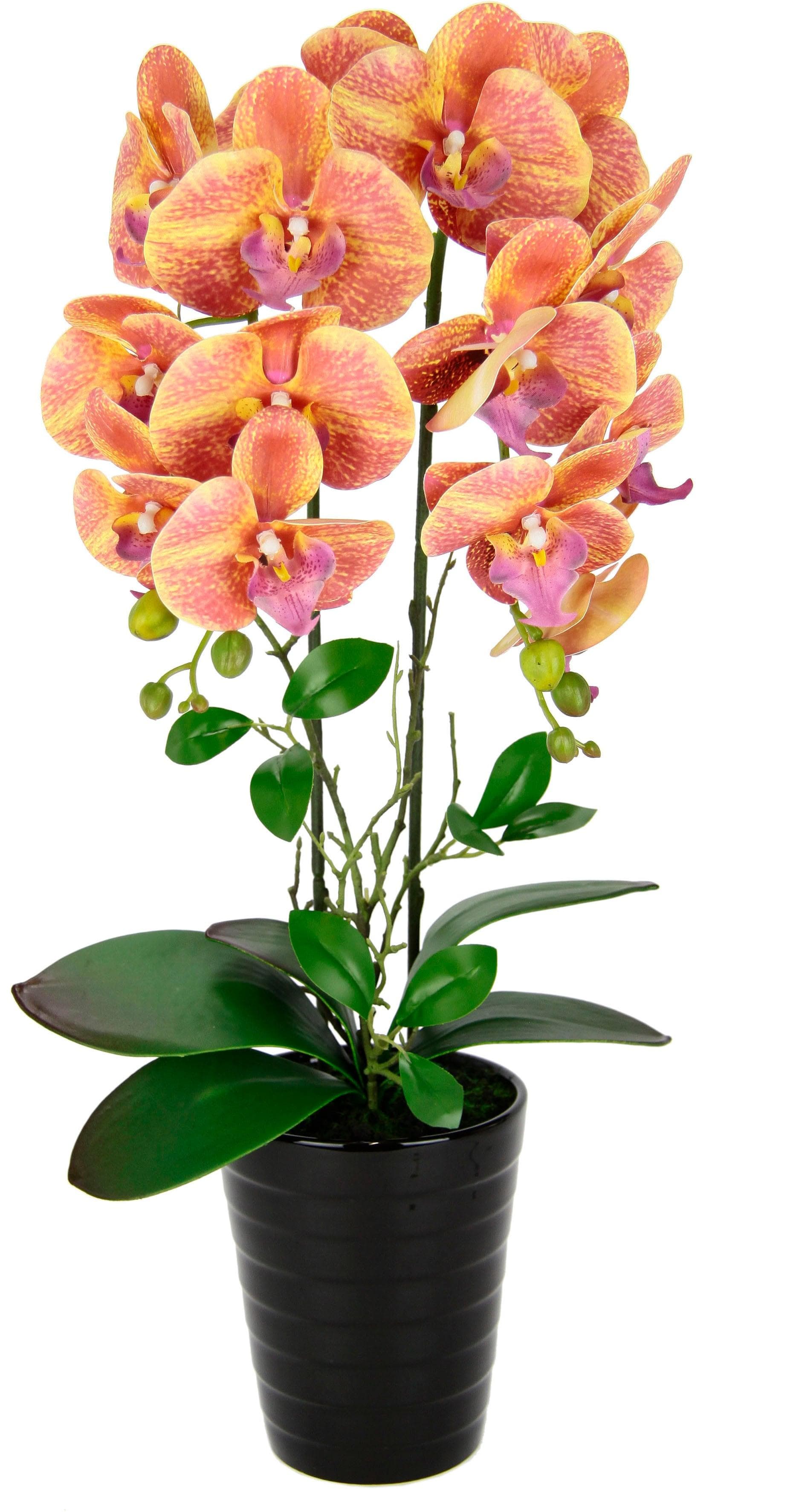 Kunstblume Orchidee Phalaenopsis mit Übertopf Hochzeit