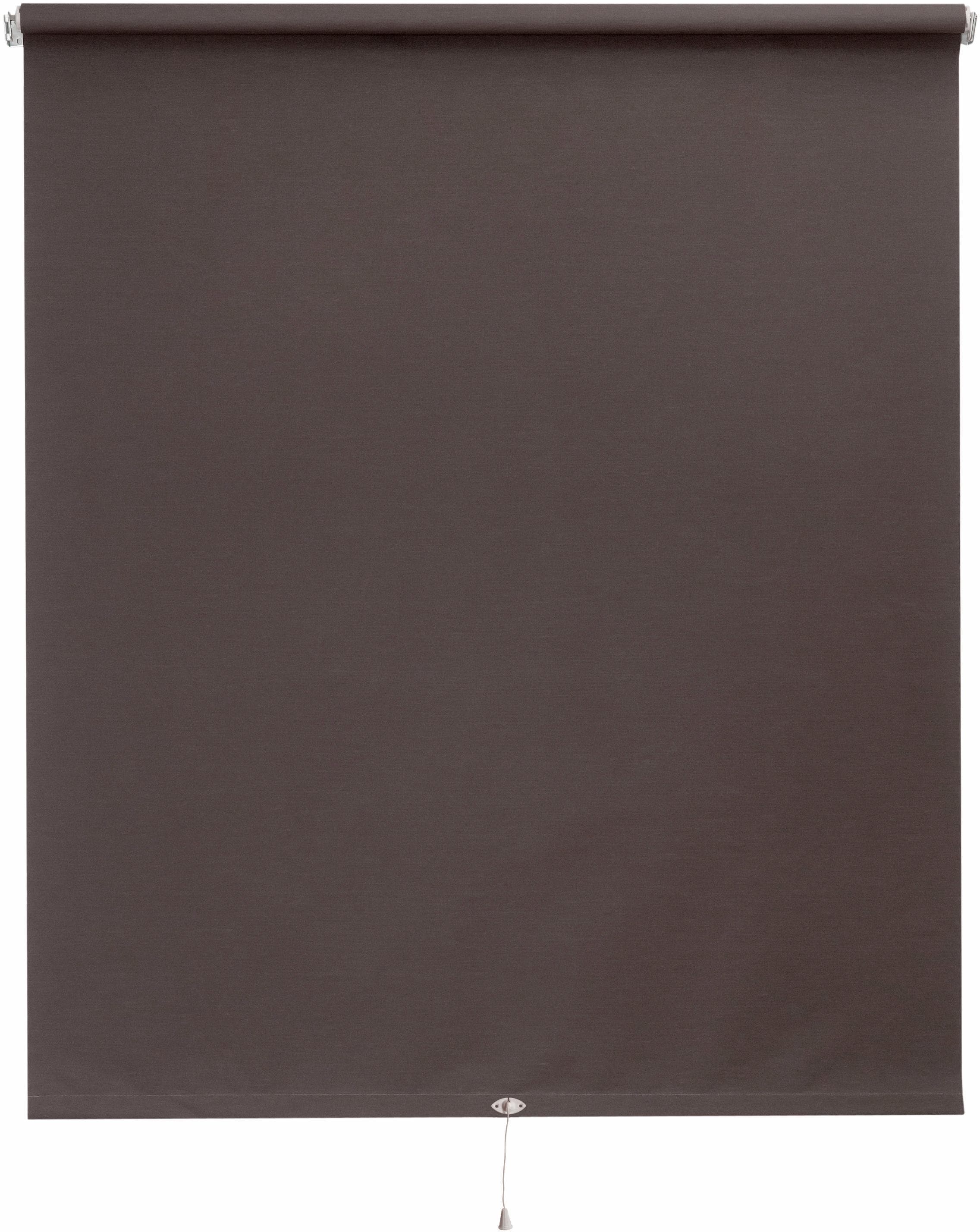 Springrollo SUNLINES Uni Braun Polyester 122x180cm