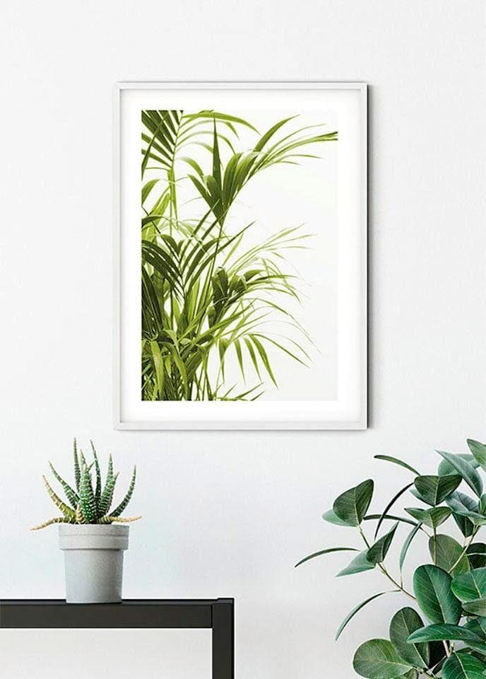 Bild KOMAR Reed Leaves bunt Wandbild 30x40 cm