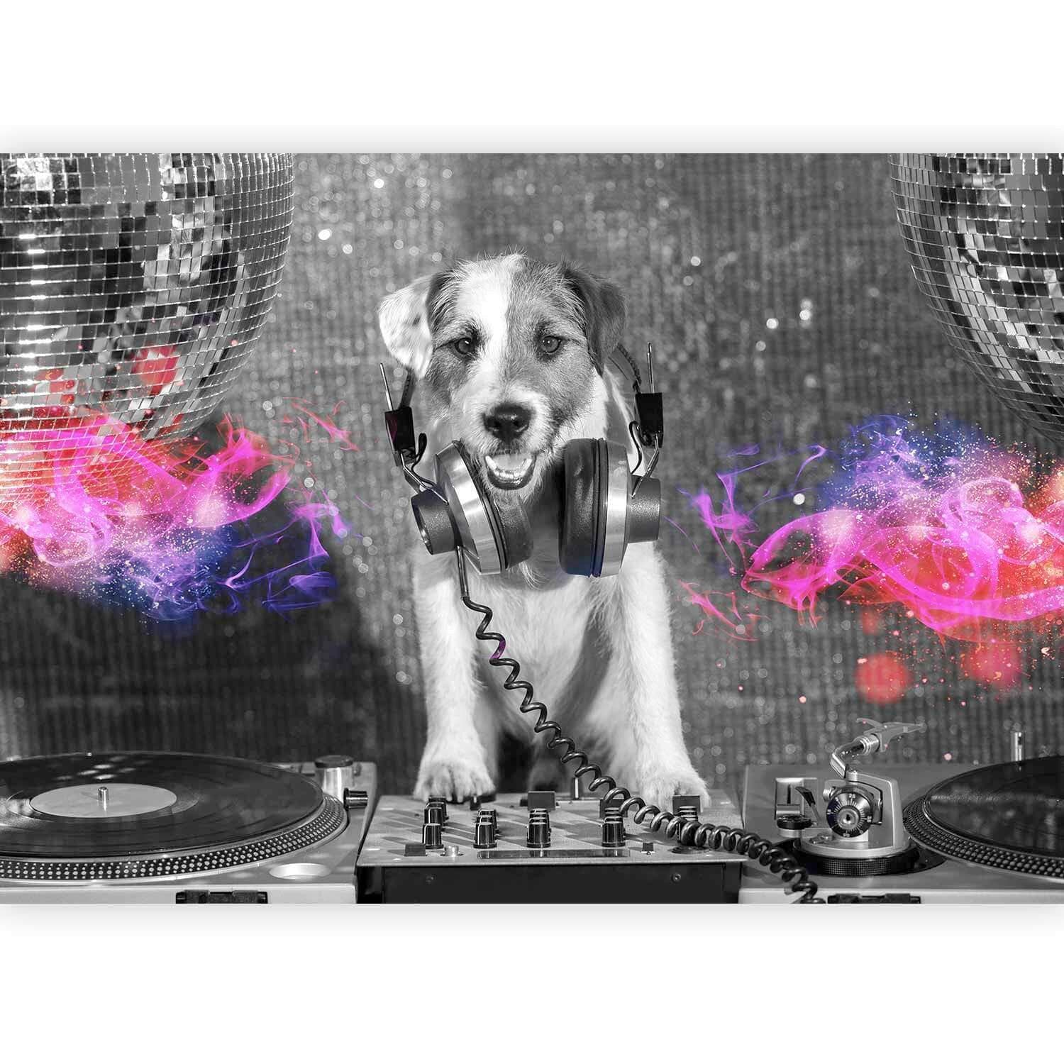 Artgeist Fototapete DJ Dog Grau/Schwarz Textil