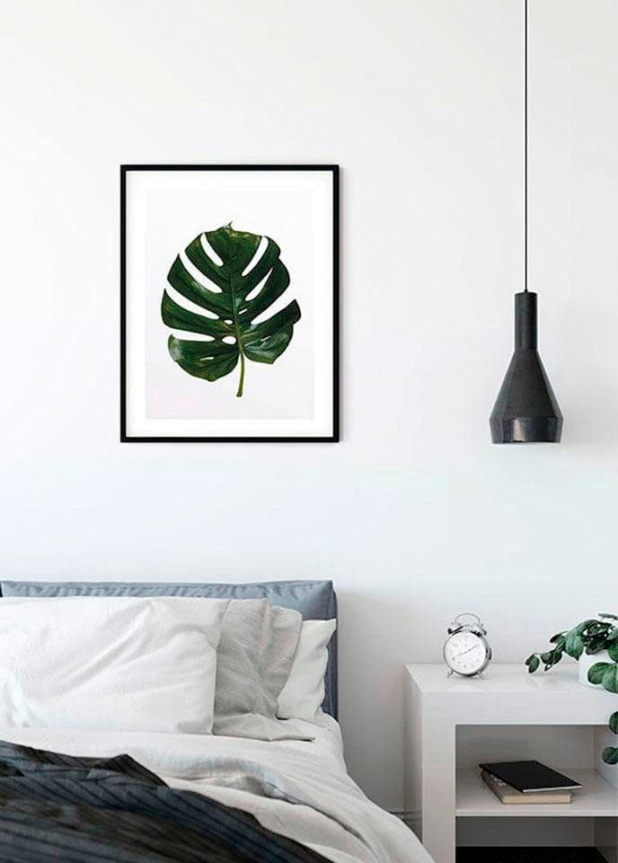 Bild KOMAR Monstera Leaf grün Wandbild ohne Rahmen