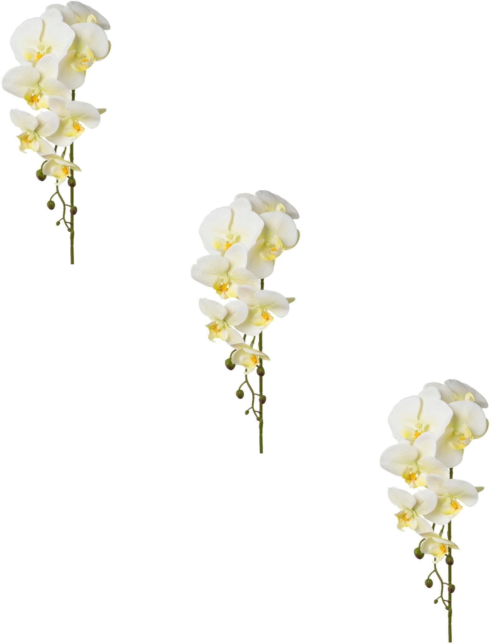 Kunstblume Orchidee Phalaenopsis Creativ green