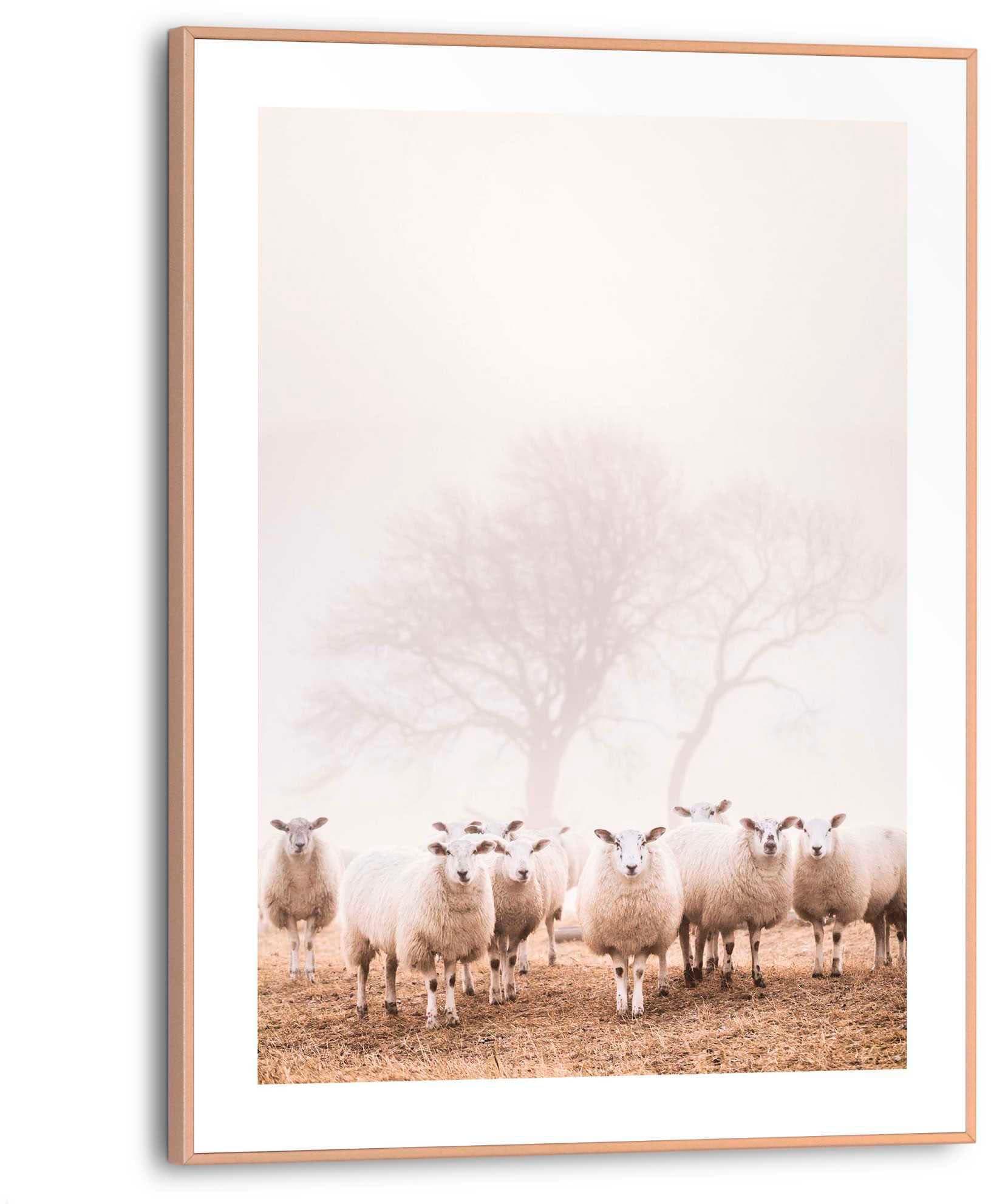Poster REINDERS Schafe im Nebel Beige MDF Wanddekoration