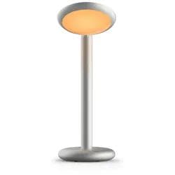 Grau Parrot Tischleuchte Silver 360° flexibel Aluminium