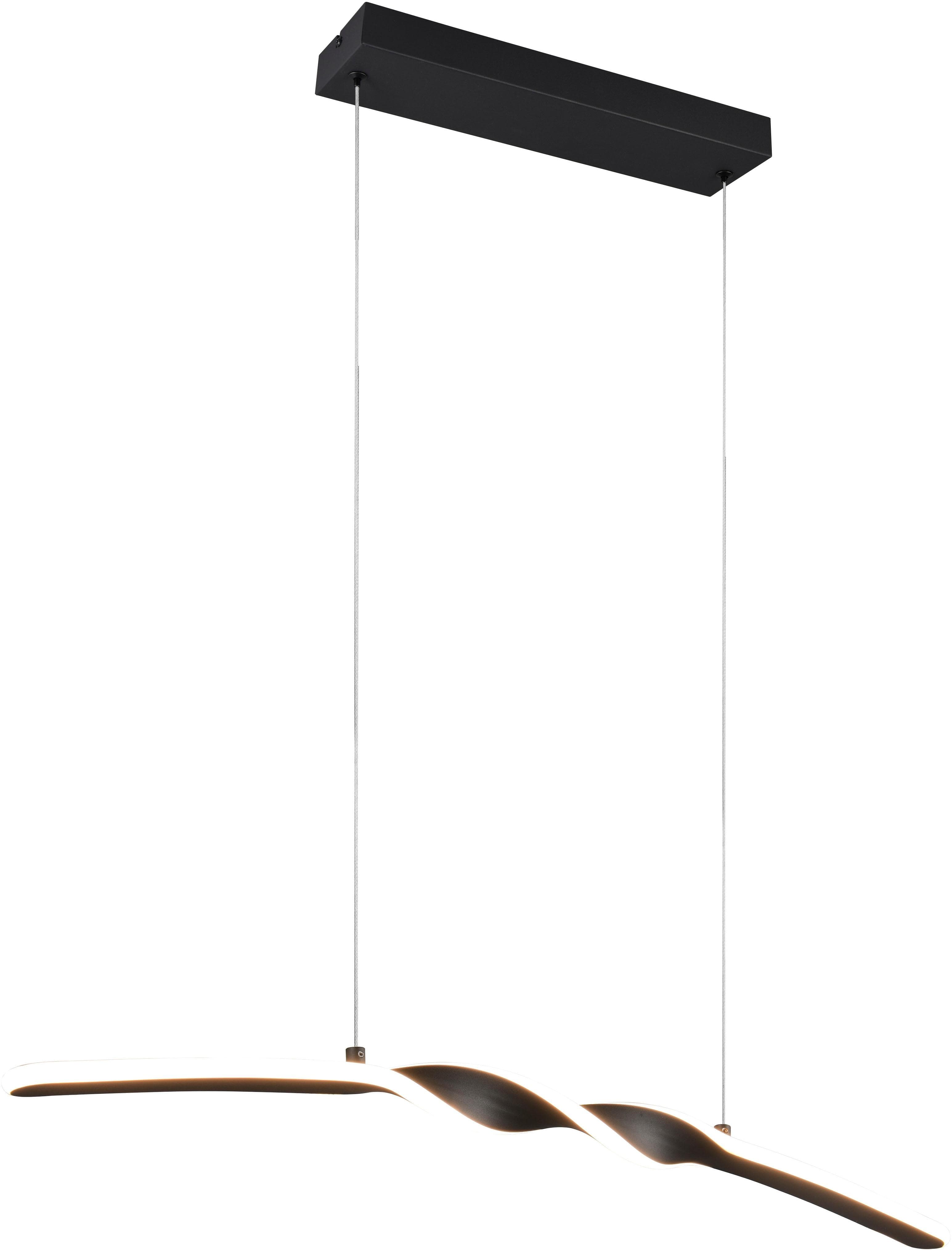 REALITY LEUCHTEN LED-Pendelleuchte Ginko, schwarz matt, Metall