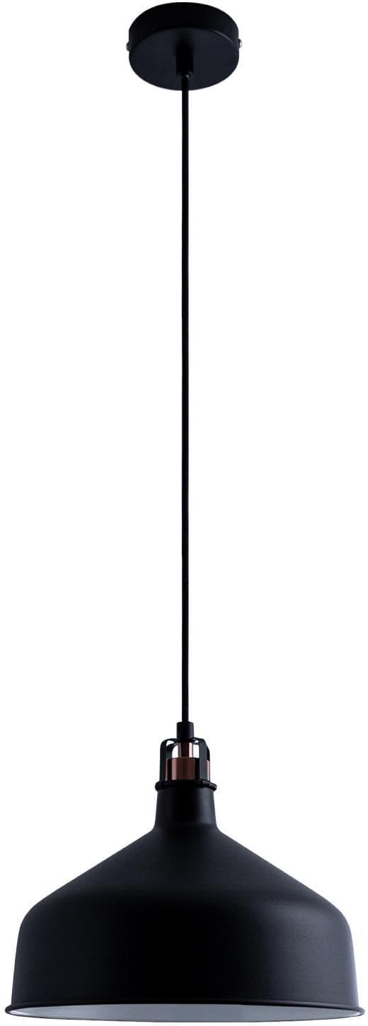 PACO HOME Pendelleuchte James Industrial Schwarz 30cm