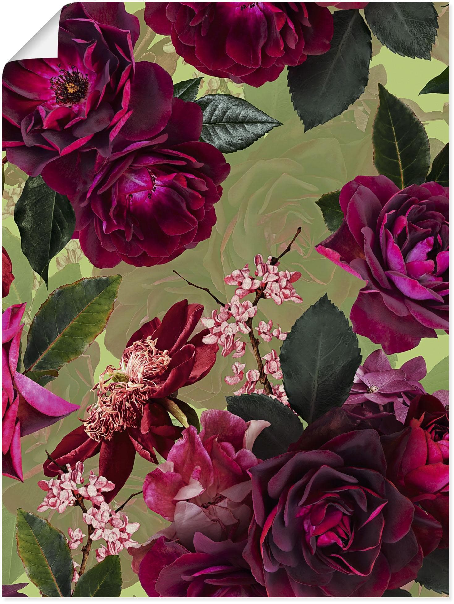 ARTLAND Poster "Dunkle Rosen auf Grün" Rosa Blumenbild