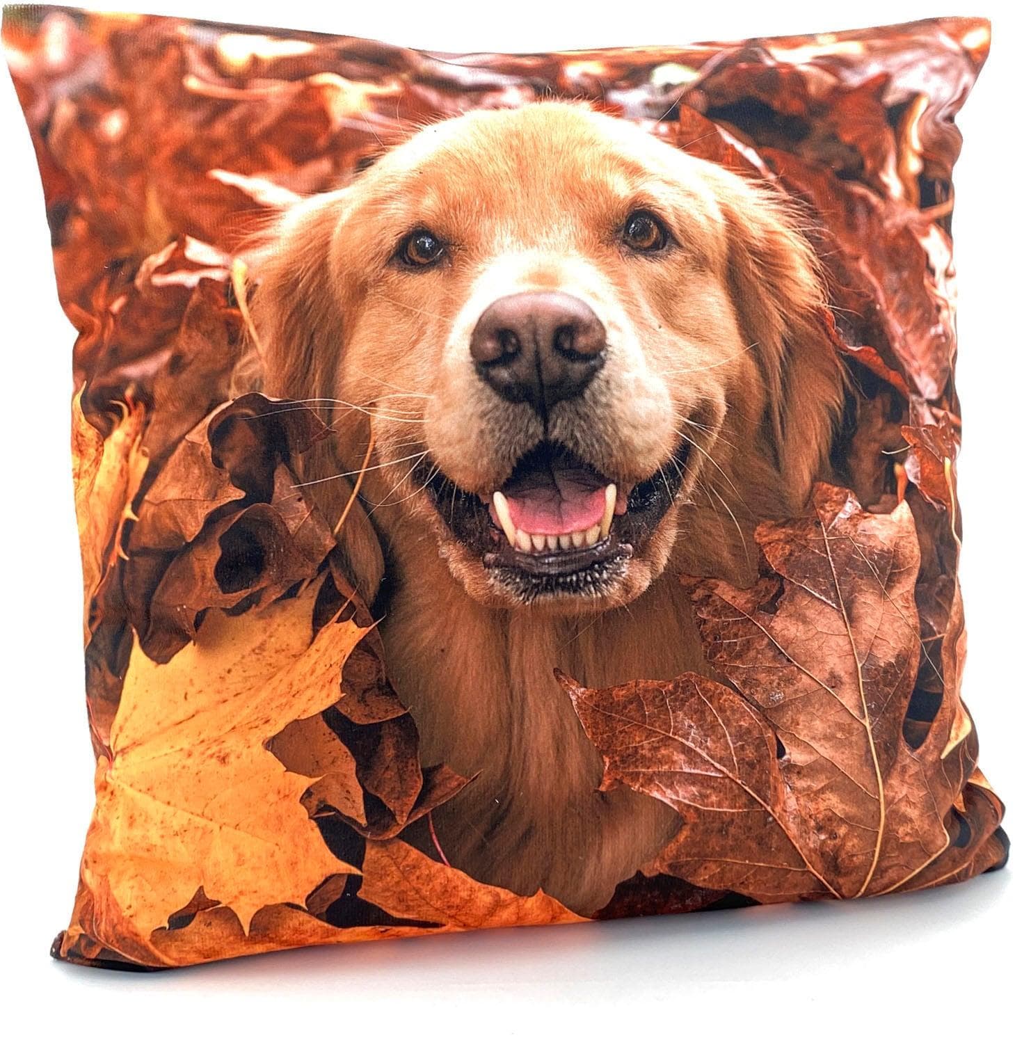 Weckbrodt Kissenhülle Golden Retriever Bunt 40x40 cm