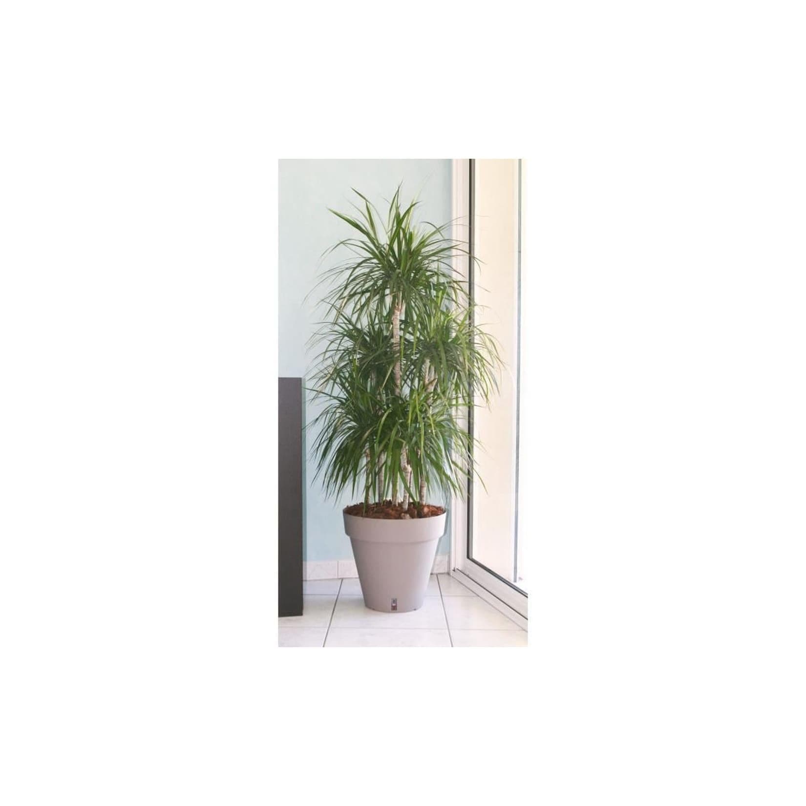 RIVIERA Riviera Loft Blumentopf mit Wasserreservoir Rund