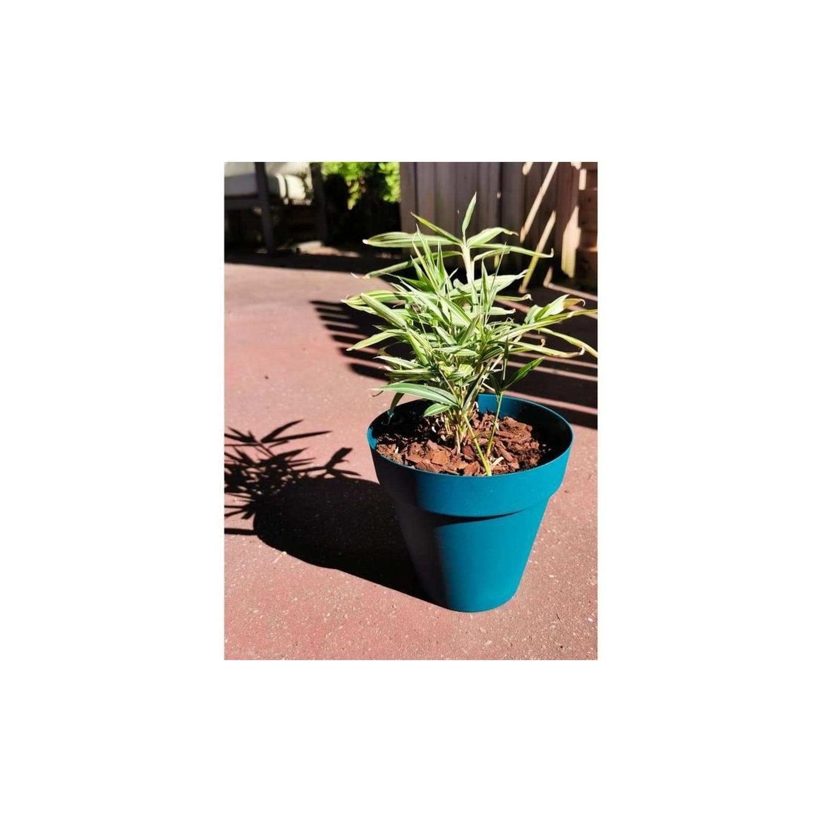 RIVIERA Blumenkasten rund Blau Kunststoff 60 cm