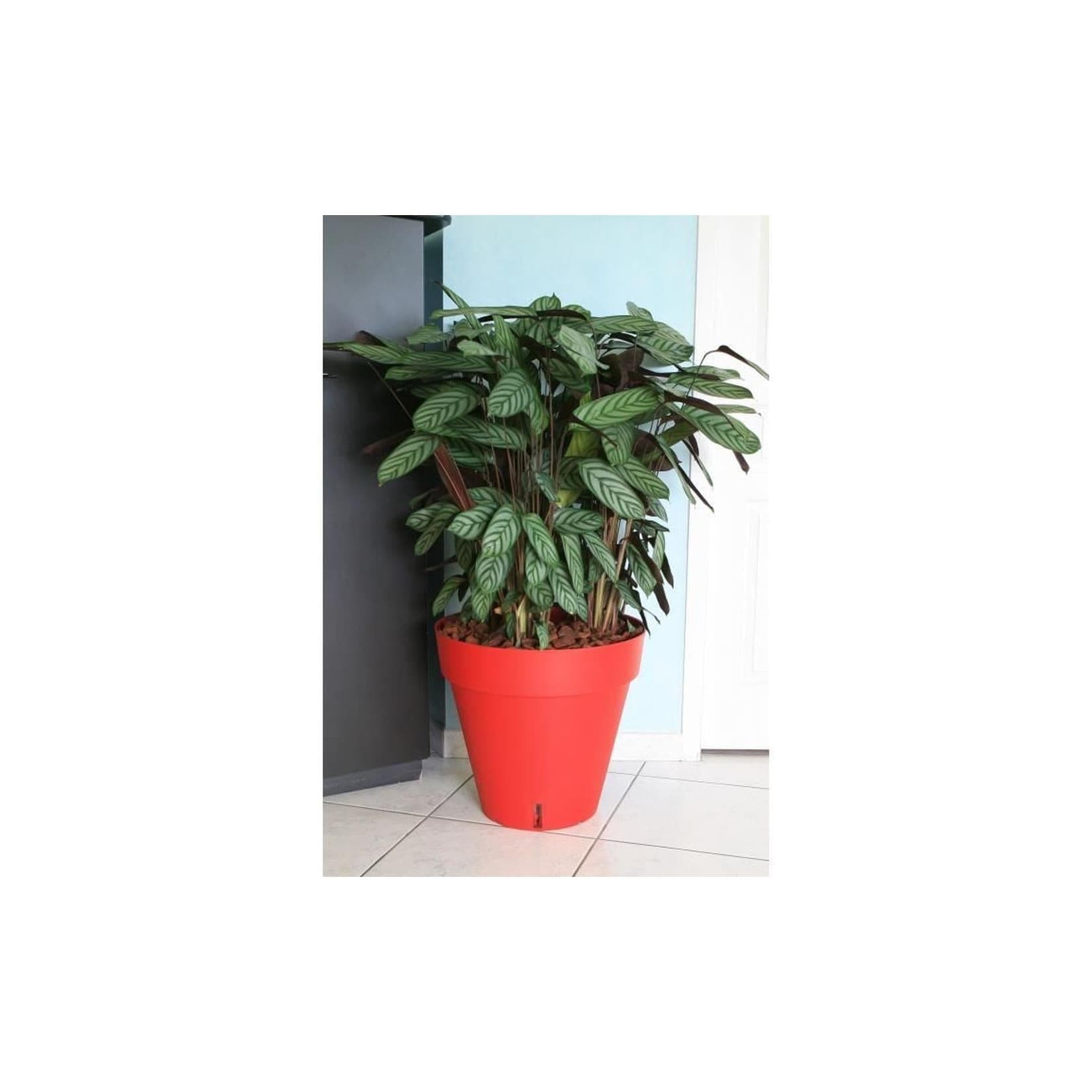 RIVIERA Riviera Loft Blumentopf mit Wasserreservoir Rot