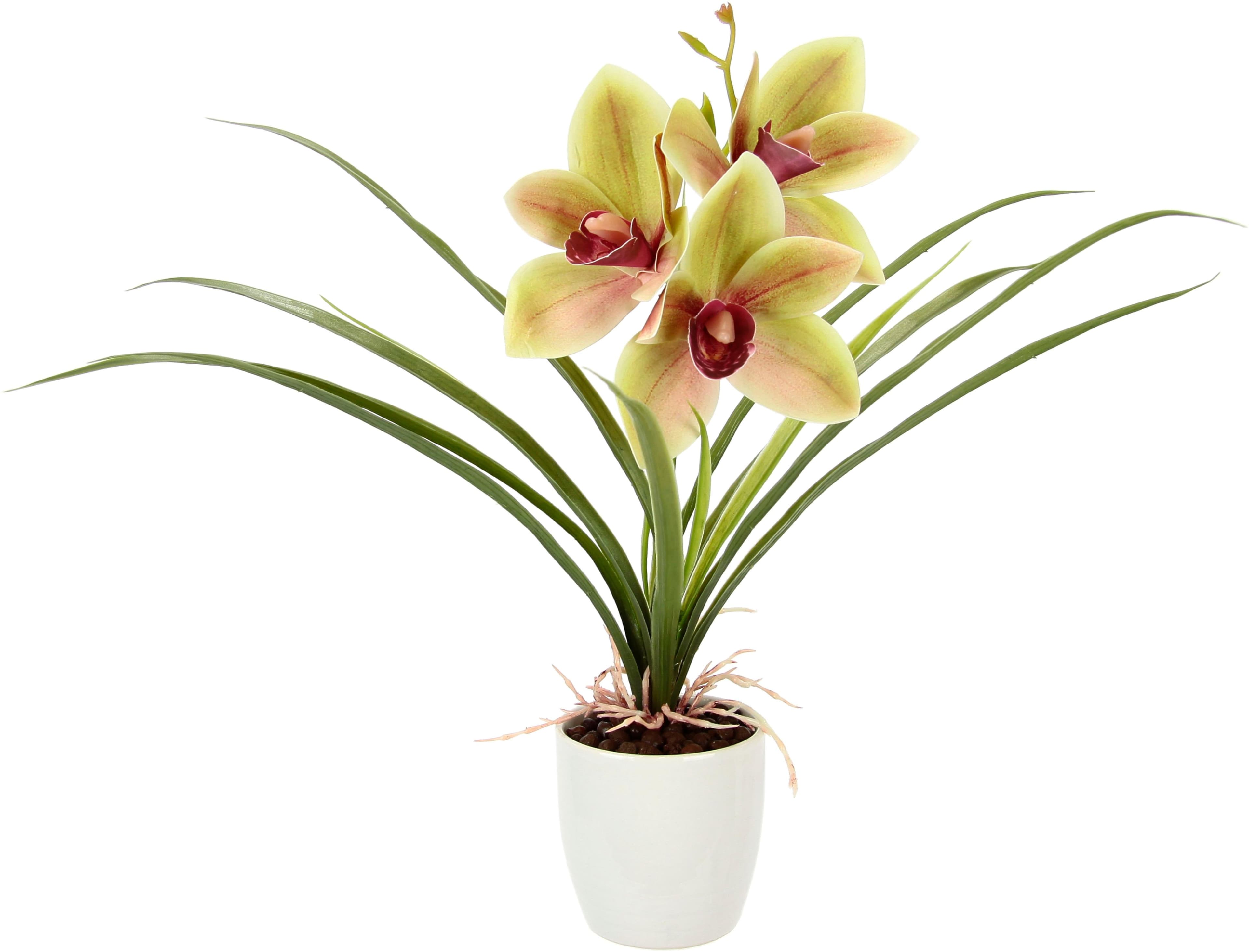 I.GE.A. Kunstblume Orchidee Bunt Keramiktopf
