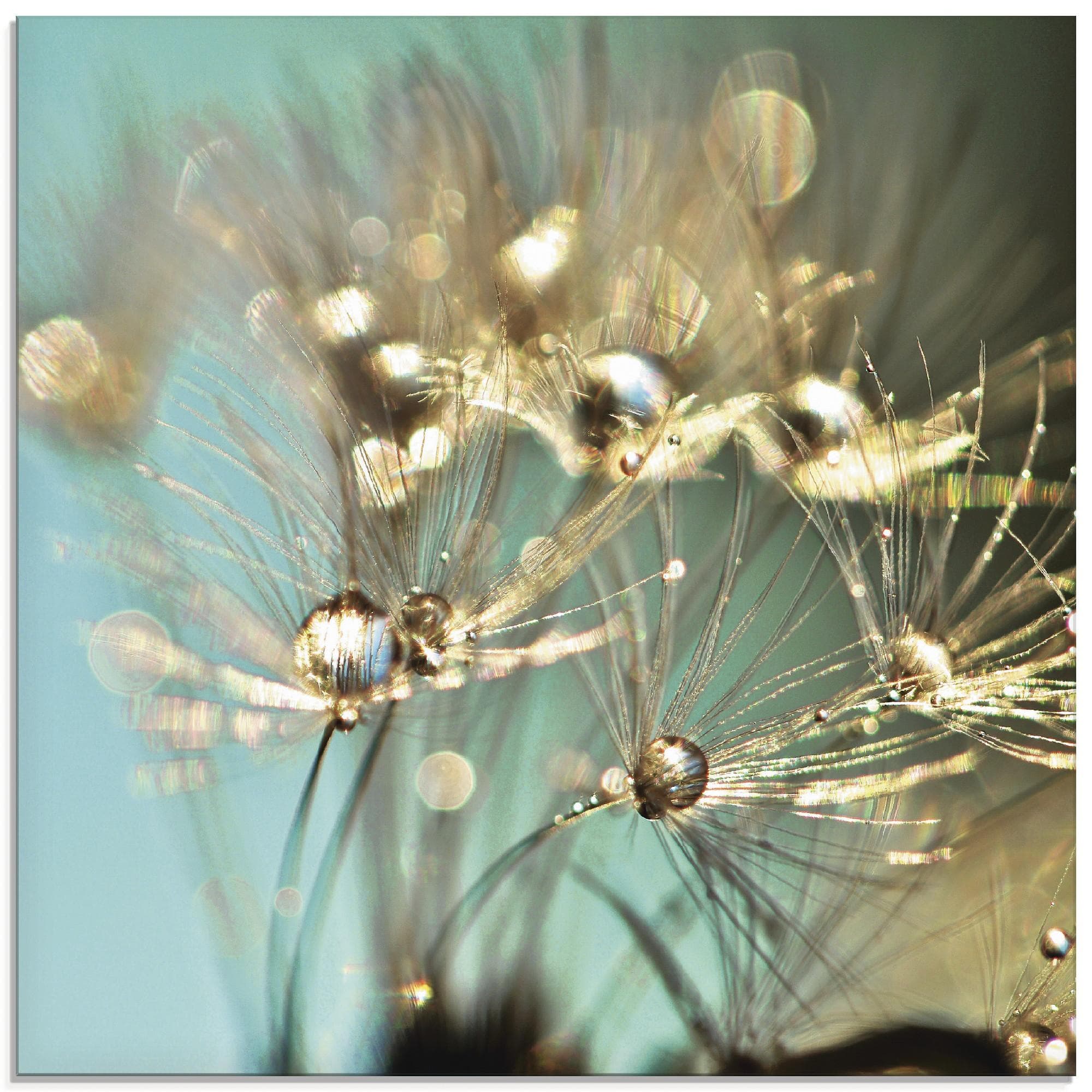Glasbild Pusteblume glänzendes Gold blau Artland