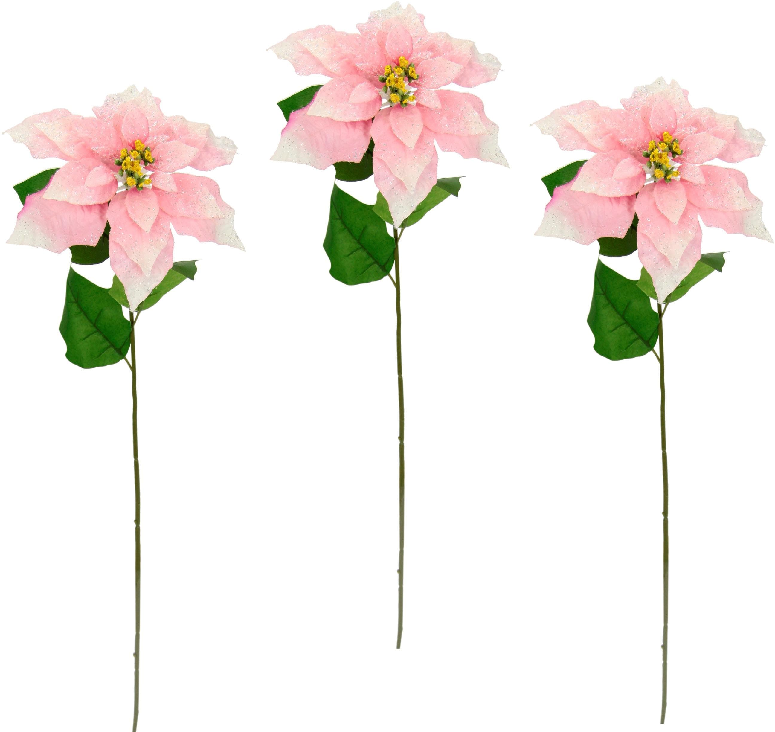 I.GE.A. Weihnachtsdeko Poinsettie 3er-Set Rosa 73 cm