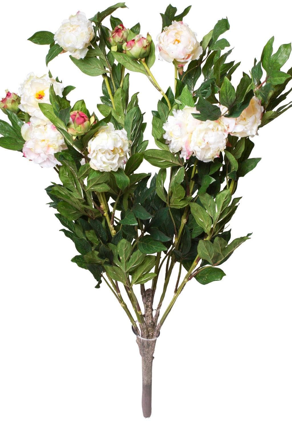 BOTANIC-HAUS Kunstblume Pfingstrosenbusch Beige/Rosa
