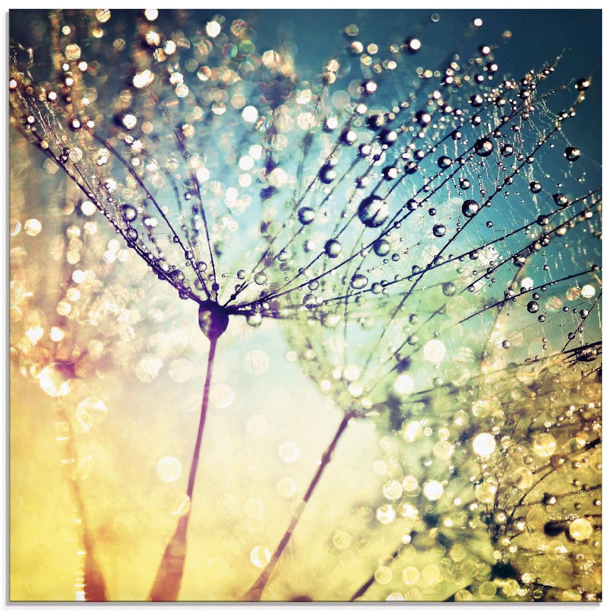 Artland Glasbild Pusteblume Zaubertropfen Blumen