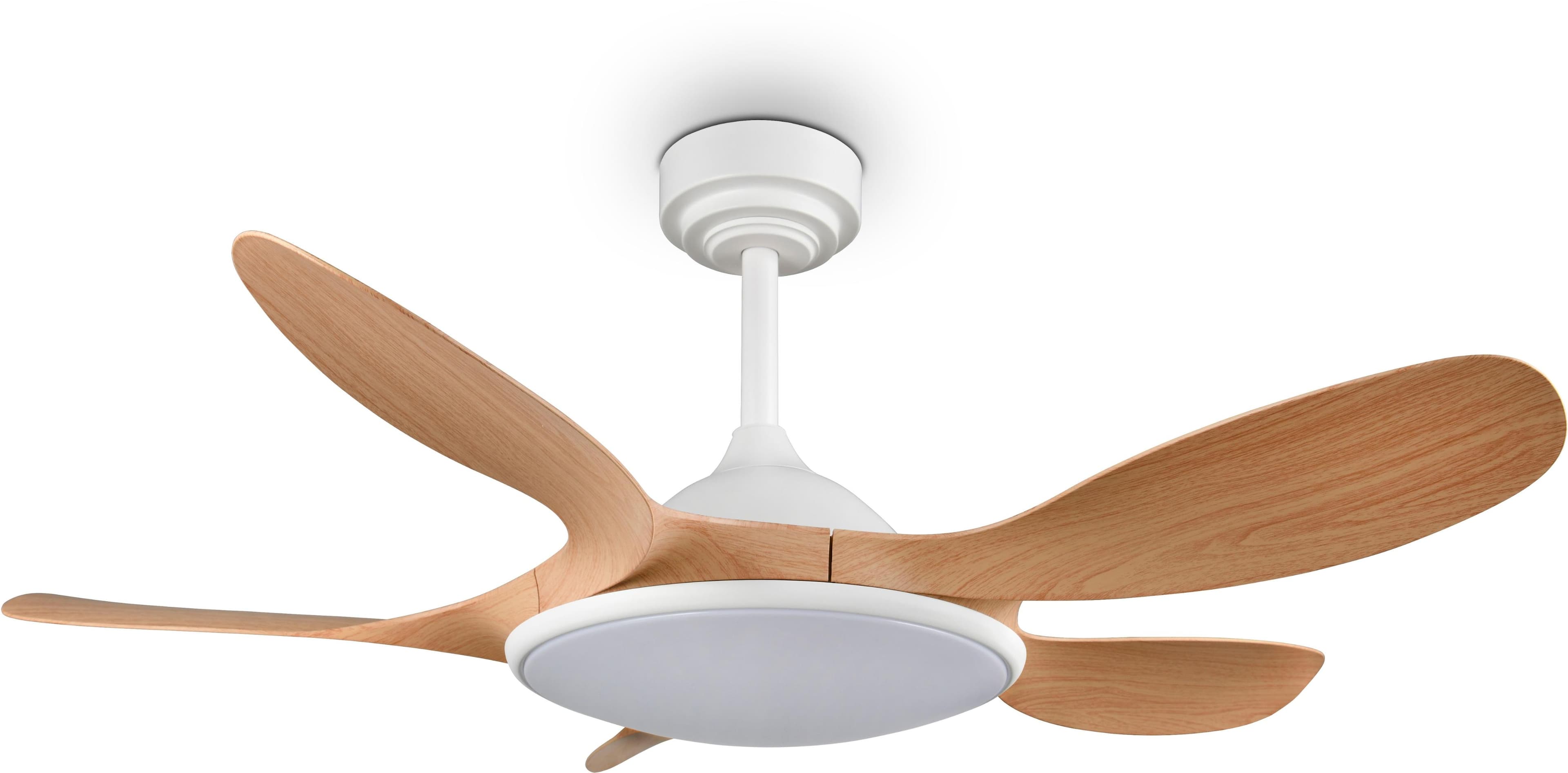 REALITY LEUCHTEN Deckenventilator LED FLEN mit Fernbedienung