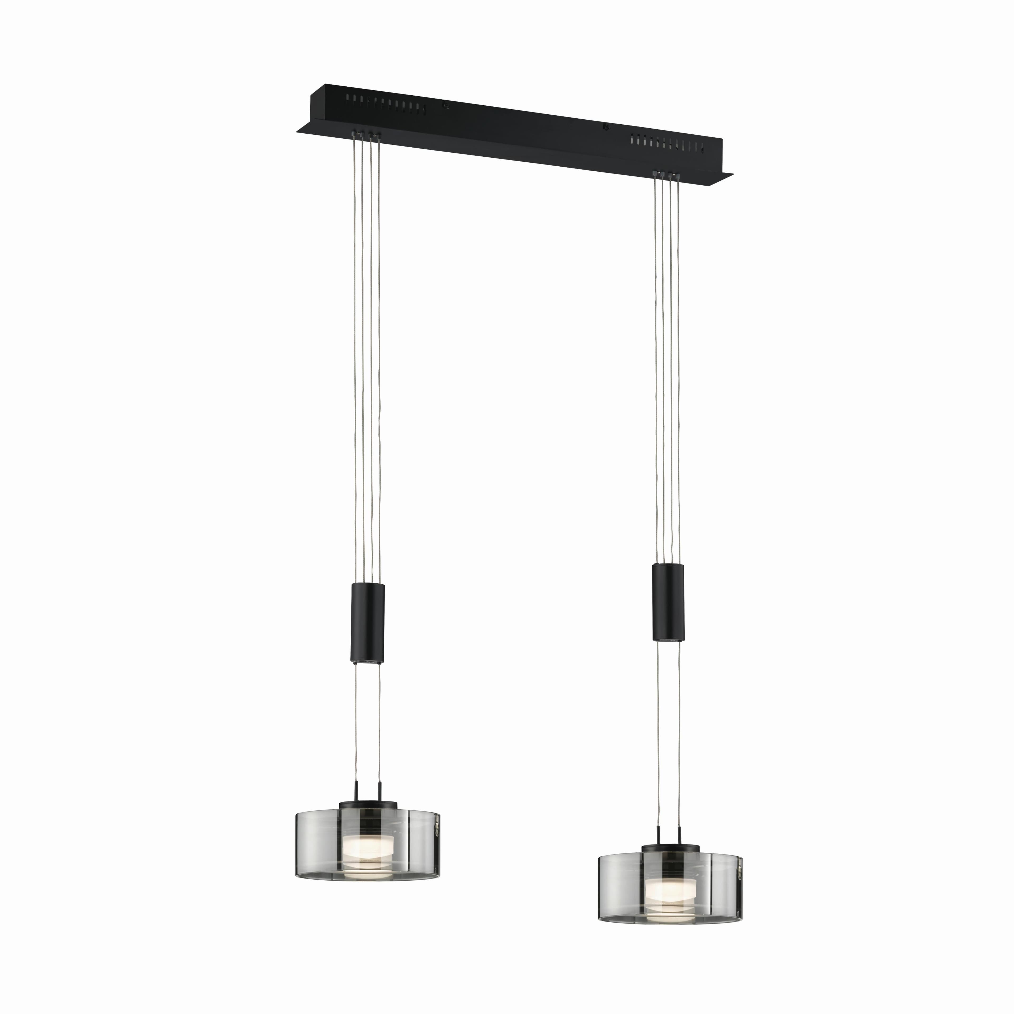 Fischer und Honsel LED-Pendelleuchte Lavin Schwarz max. 9 Watt