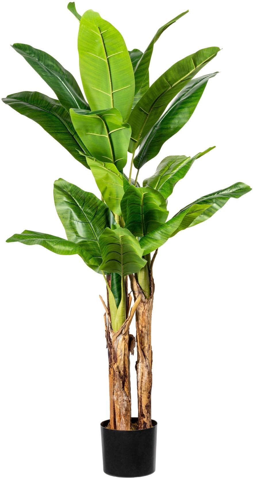 Creativ Green Kunstbananenpflanze Grün mit Schwarzem Übertopf
