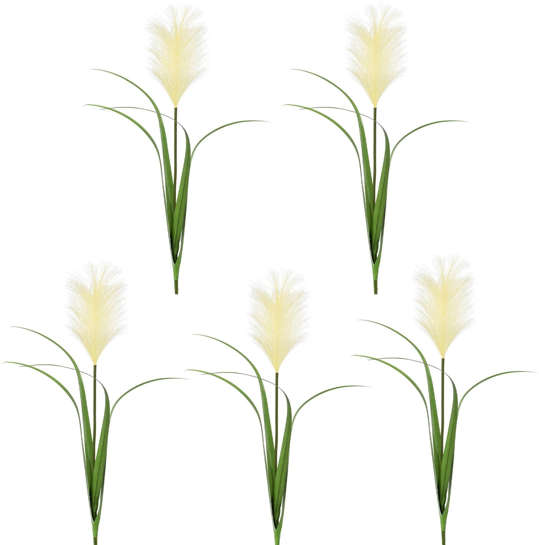Creativ Green Kunstzweig Pampasgras Beige 5er Set