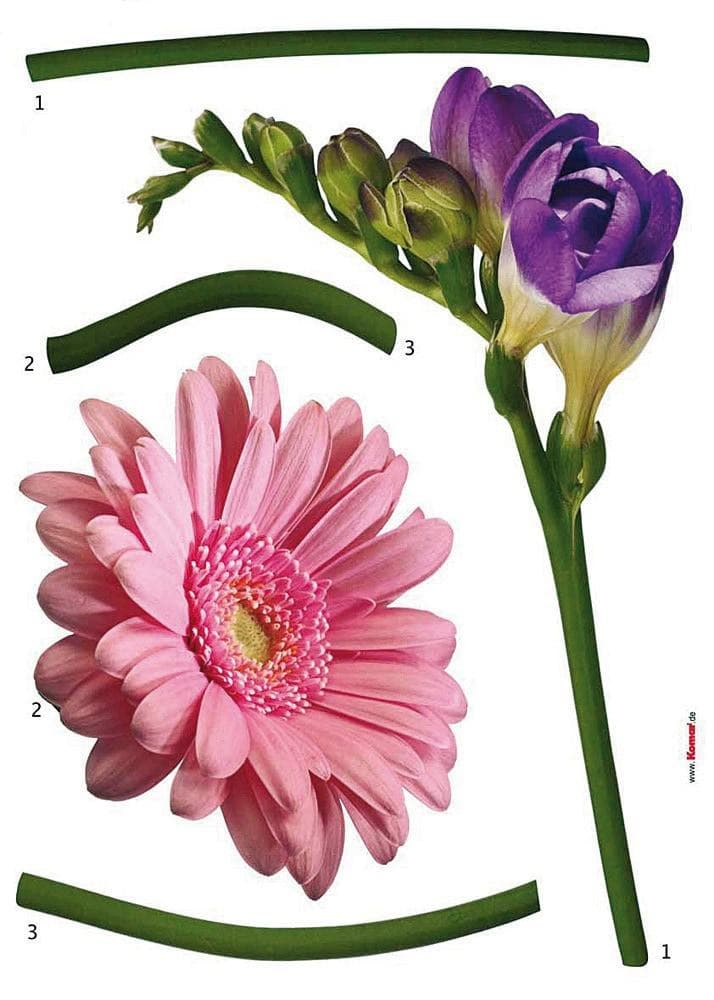 Wandtattoo KOMAR Fiore bunt rosa lila grün