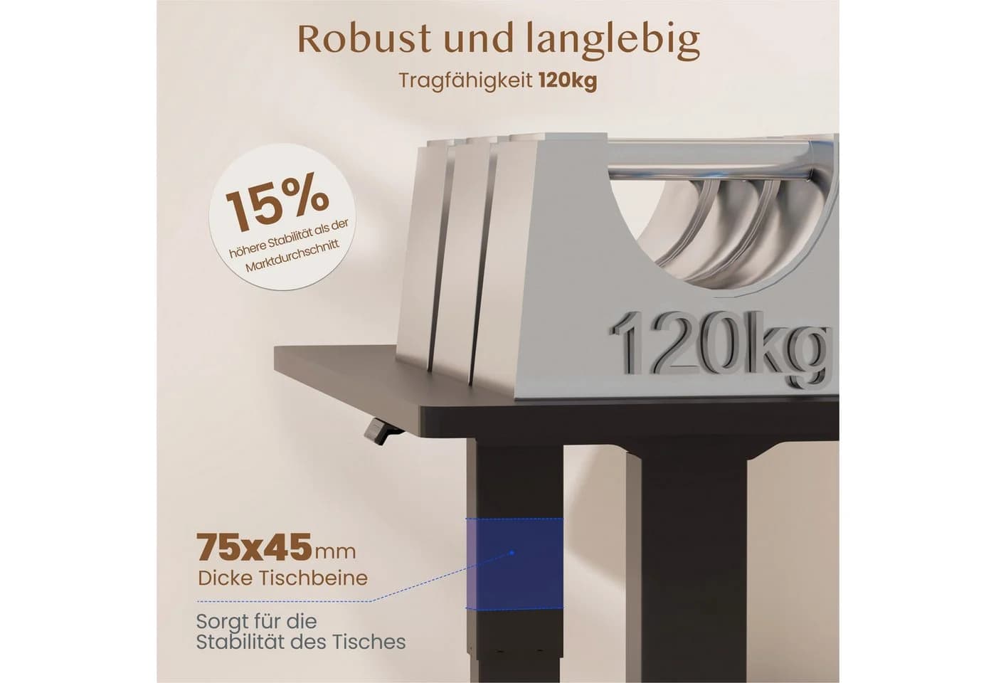 FLEXISPOT Sitz-Steh-Tisch Dual-Motor 4 Speicherplätze Anti-Kollisionssystem - Bild 5