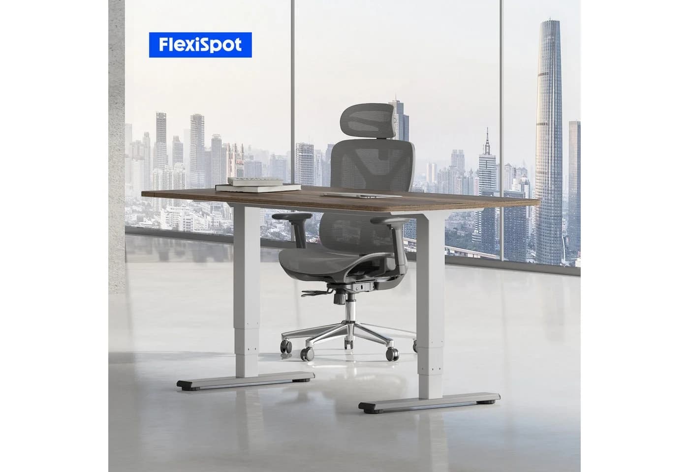 FLEXISPOT Schreibtisch EC5 LITE Dualmotor Höhenverstellbar