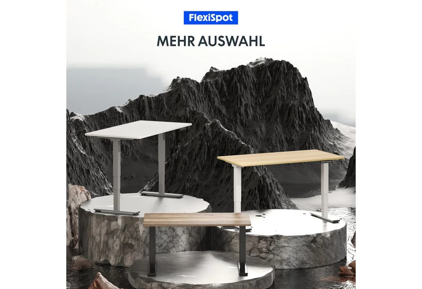 FLEXISPOT Schreibtisch EC5 LITE Dualmotor Höhenverstellbar - Bild 3