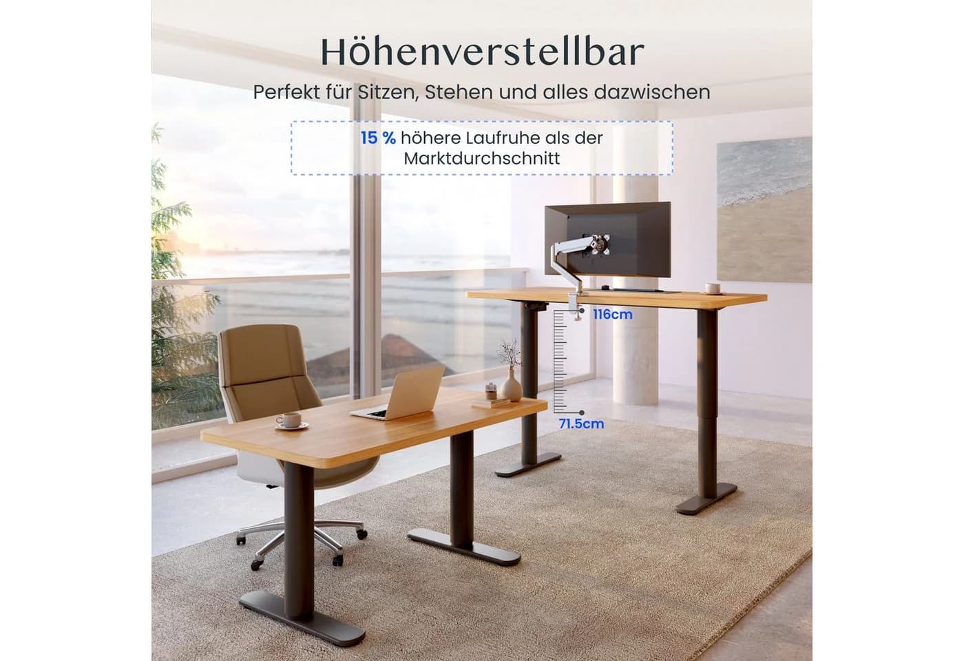 FLEXISPOT Höhenverstellbarer Schreibtisch Schwarz Modern