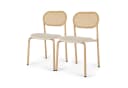 Furnishings Home Rattanstuhl 2-tlg. Beige Polsterstuhl mit Metallbeinen Bild 5