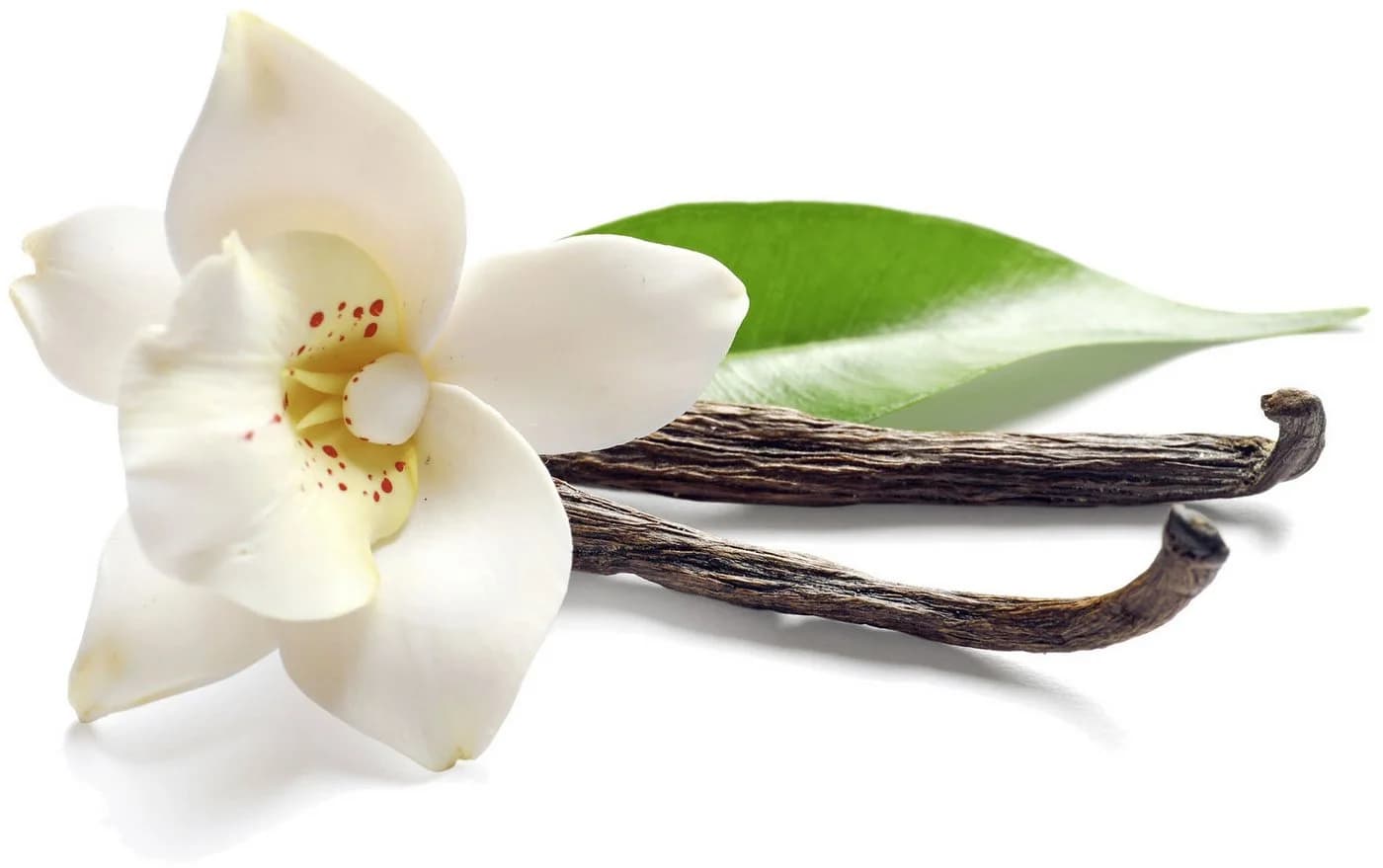 SCHÖNER WOHNEN Duftkerze Vanilla S Honigfarben Glas