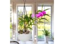 relaxdays Blumenampel mit Wasserspeicher 2er Set Weiß/Schwarz Bild 1