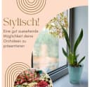 GarPet Orchideentopf 4er Set Transparent Glas Übertopf Bild 3