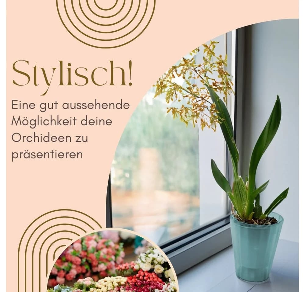 GarPet Orchideentopf 4er Set Transparent Glas Übertopf - Bild 3