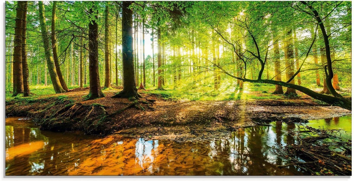 Artland Glasbild Wald mit Bach Naturmotiv Modern