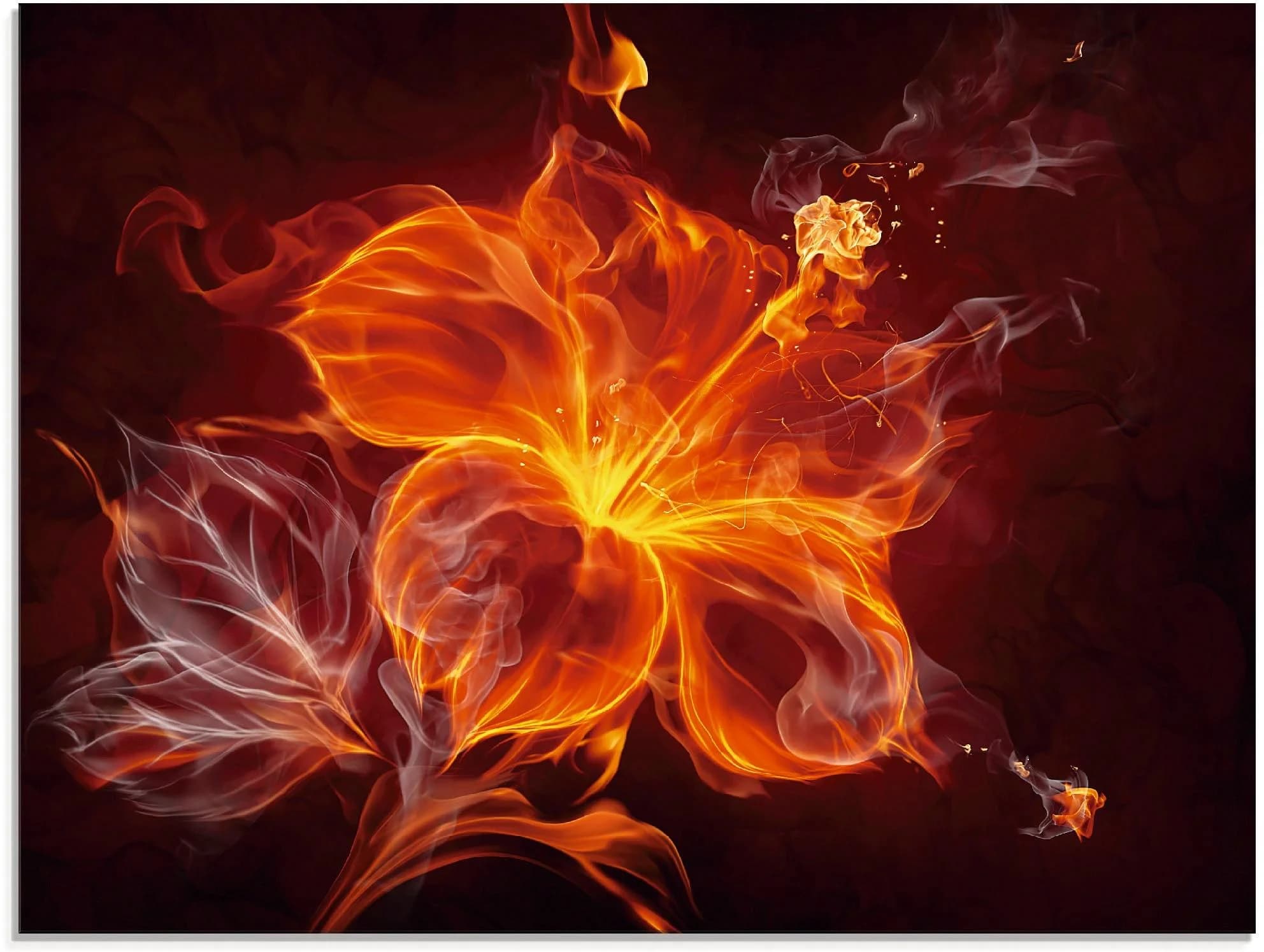 ARTLAND Glasbild Feuerblume Rot 80x60 cm