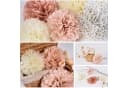 LuxusKollektion Deko-Set Seidenpapier Pompons Roségold Rosa 13-tlg. Bild 3