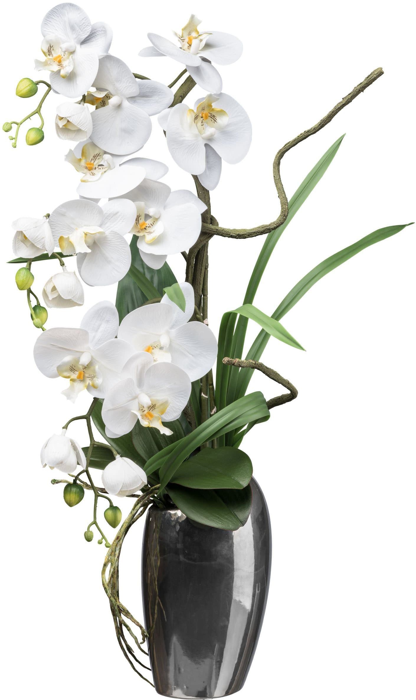 Creativ green Kunstorchidee Phalaenopsis Grün Real-Touch