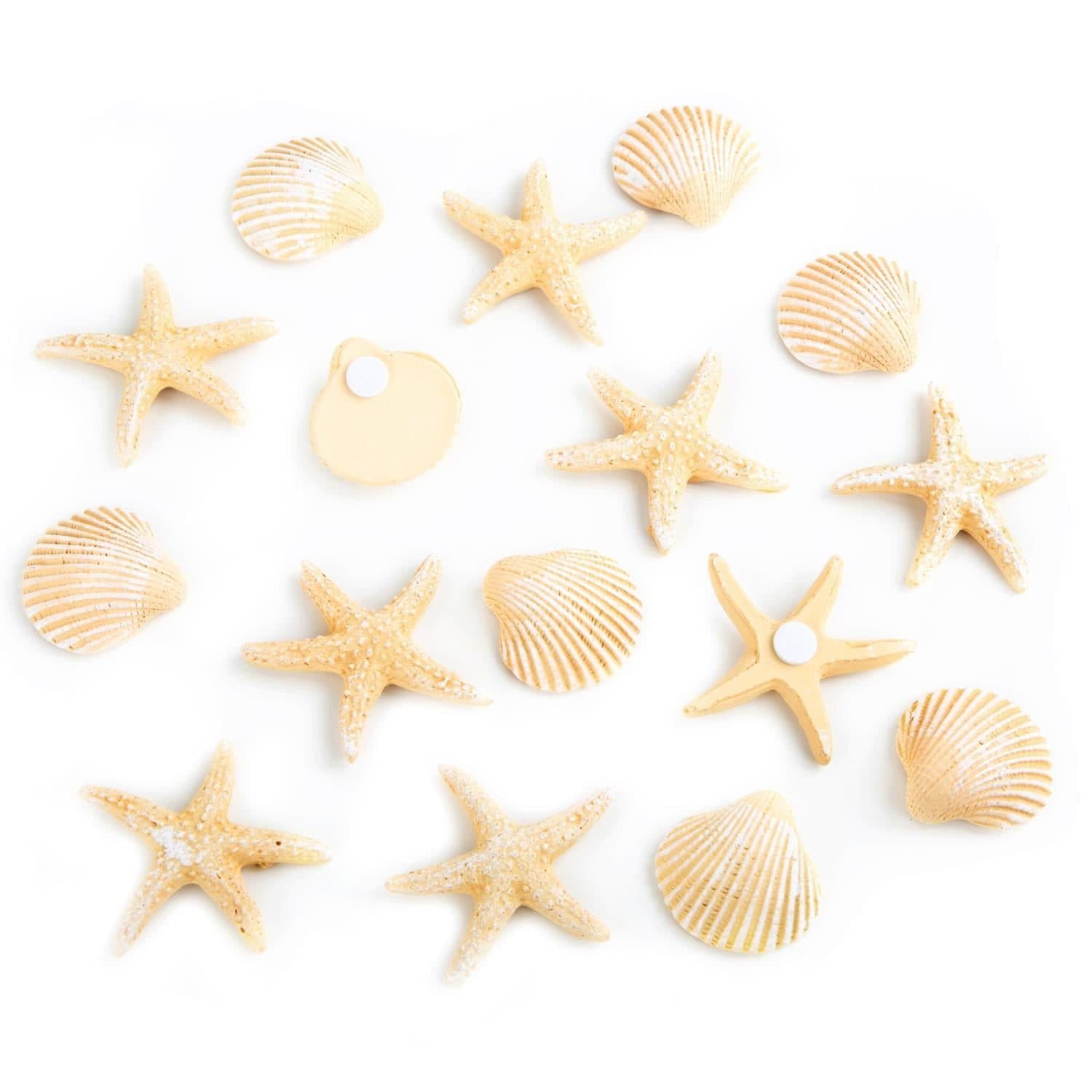 Logbuch-Verlag 16-teiliges beiges Deko Set mit Muscheln + Seesternen