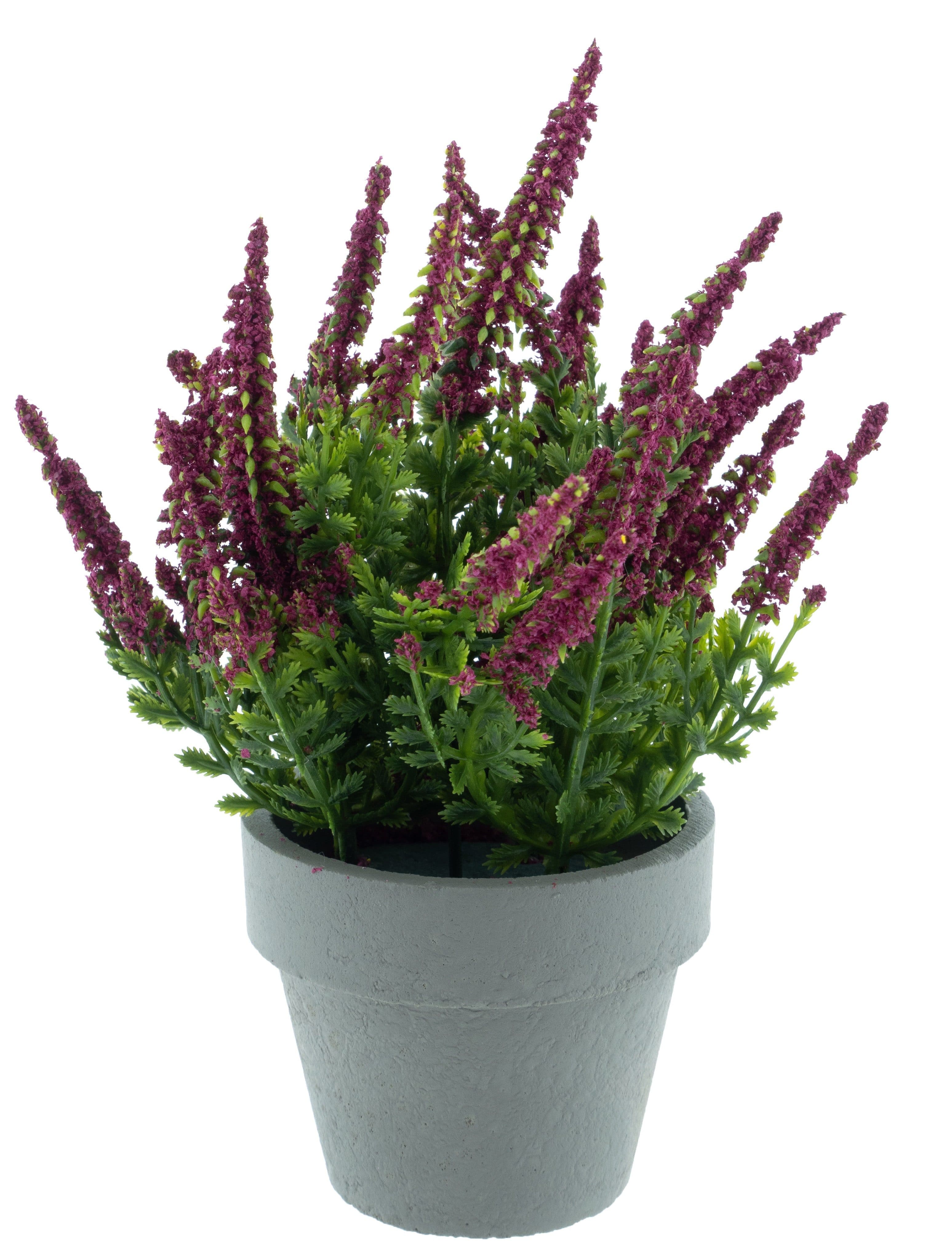 mucPlants Kunstpflanze Erika Grau/Rot im Topf