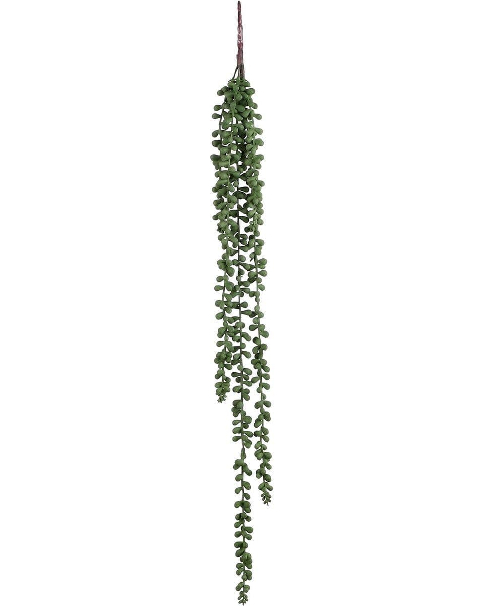 Mica Decorations Hängedekoration Senecio Grün Polypropylen