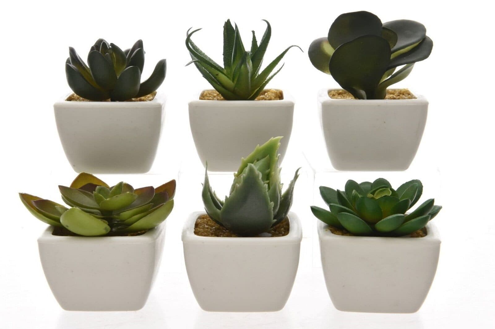 Kaemingk Kunst-Sukkulenten 6er-Set Grün/Weiß