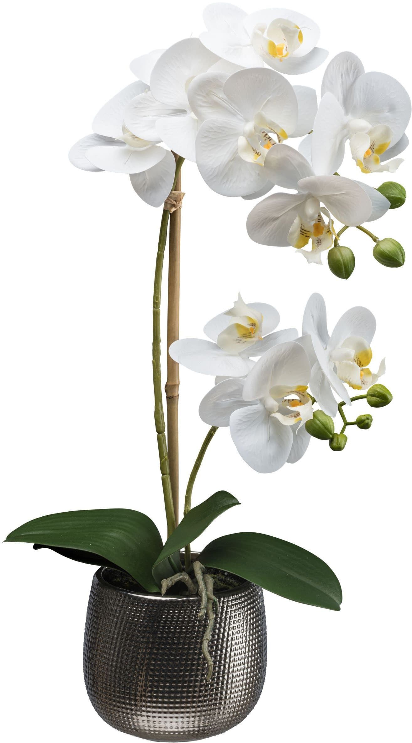 Kunstorchidee Phalaenopsis Creativ green 48 cm Real-Touch-Blüten