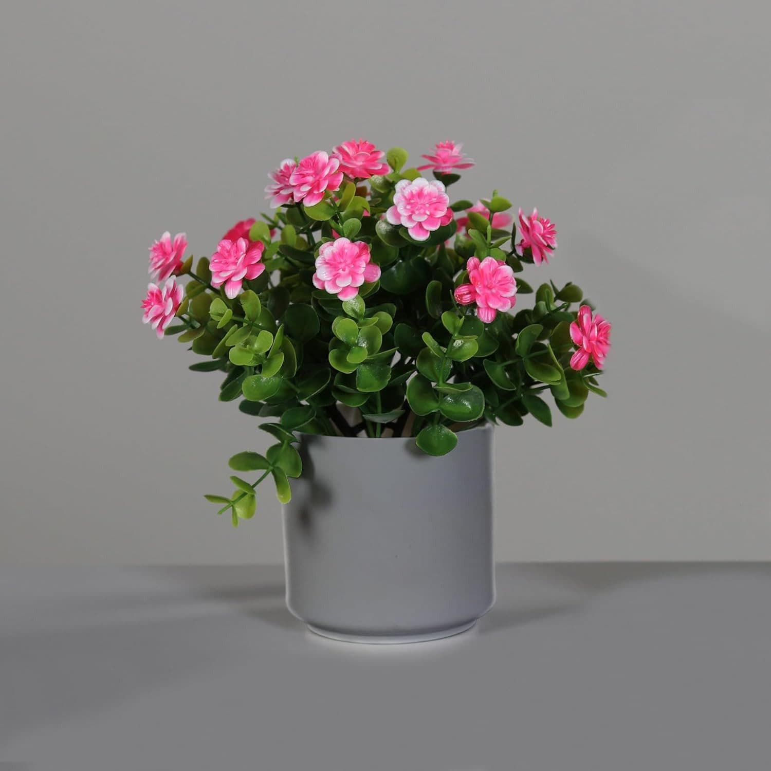 Kunstpflanze Kamelie Grau Kunststofftopf mucPlants