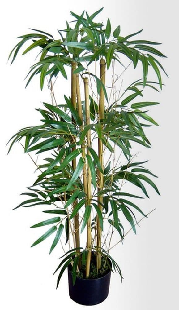 Kunstbaum Twiggy-Bambus 90 cm Seidenblumen Roß