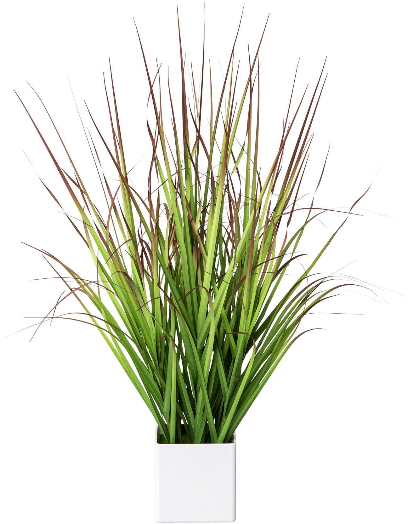 Creativ Green Kunstgras Blutgras Grün/Rot Weißer Topf