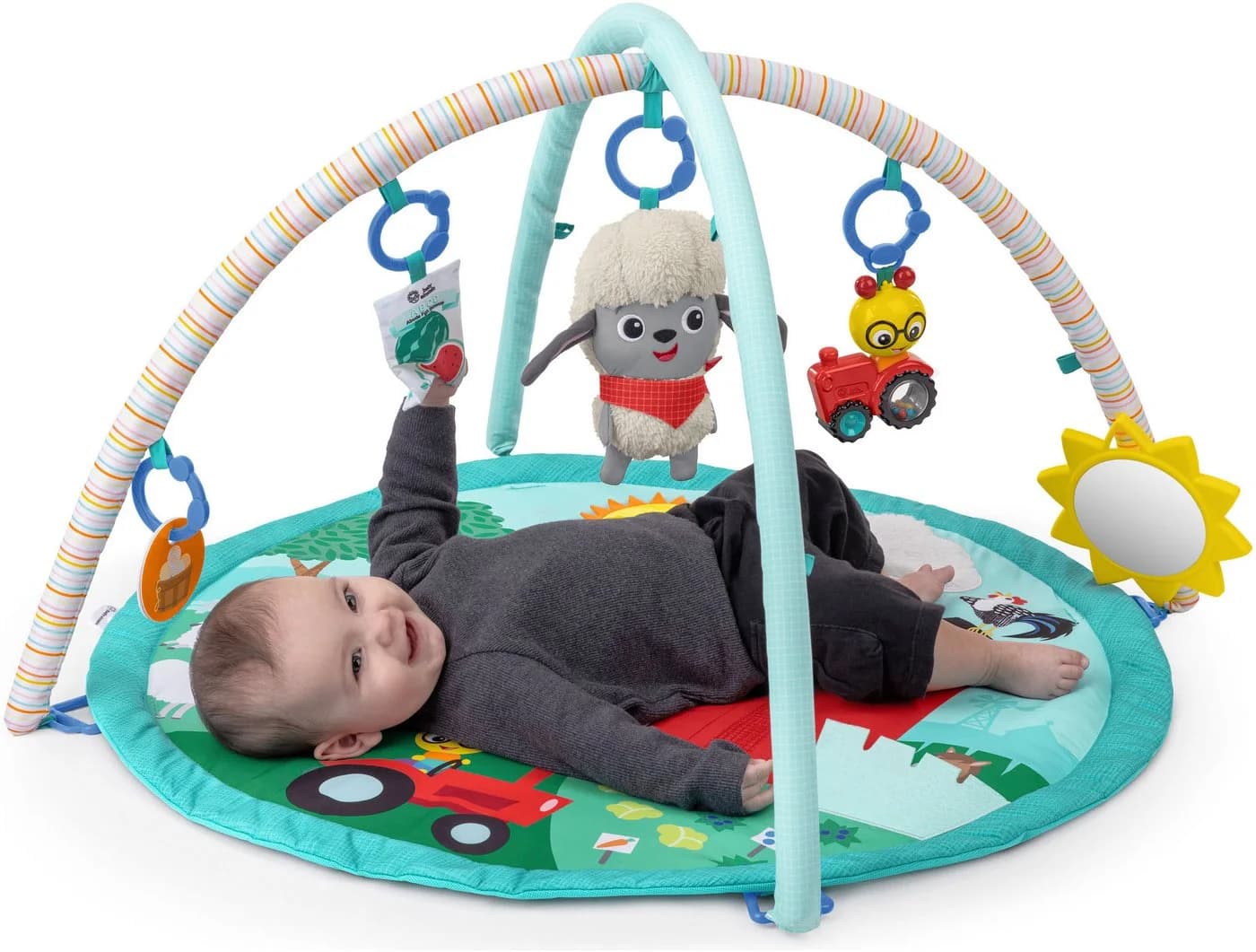 Baby Einstein Spielbogen Happy Harvest Touch & Feel Activity Gym