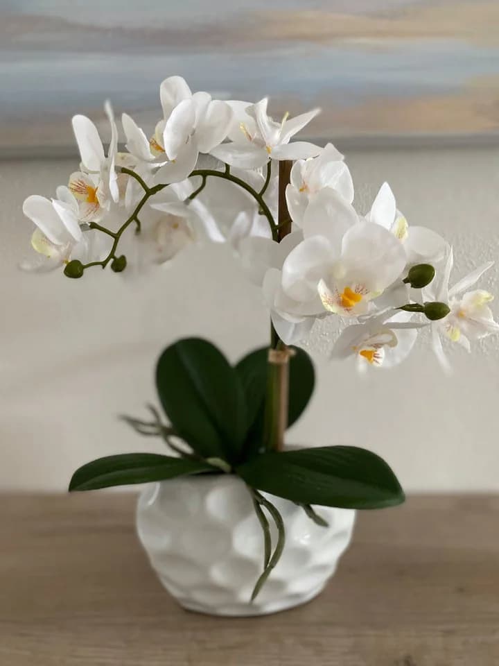 Creativ green Kunstorchidee Kunstpflanze Orchidee, weiß, ca. 33 cm hoch in Keramiktopf
