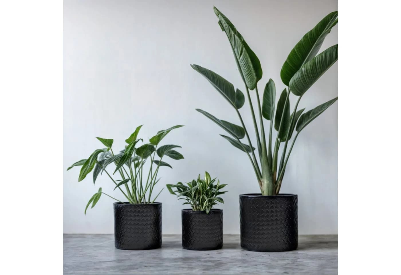 Meinposten Blumentopf 3er Set schwarz rund Metall